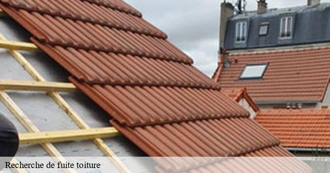 Recherche de fuite toiture pro renov'toiture - Couvreur Zingueur 52