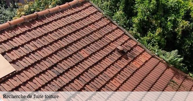 Recherche de fuite toiture pro renov'toiture - Couvreur Zingueur 52