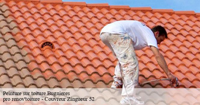 Peinture sur toiture bugnieres-52210 pro renov'toiture - Couvreur Zingueur 52
