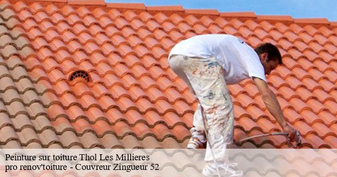 Peinture sur toiture thol-les-millieres-52240 pro renov'toiture - Couvreur Zingueur 52