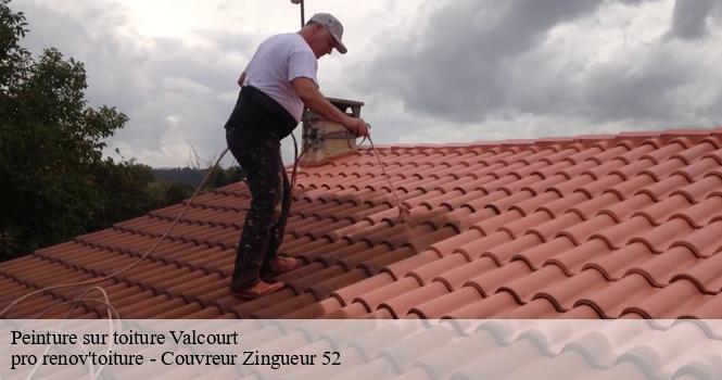 Peinture sur toiture valcourt-52100 pro renov'toiture - Couvreur Zingueur 52