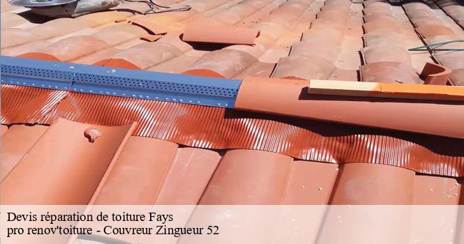 Devis réparation de toiture fays-52130 pro renov'toiture - Couvreur Zingueur 52