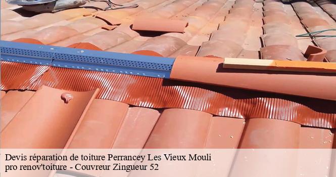 Devis réparation de toiture perrancey-les-vieux-mouli-52200 pro renov'toiture - Couvreur Zingueur 52