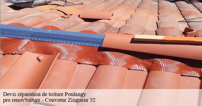 Devis réparation de toiture  poulangy-52800 pro renov'toiture - Couvreur Zingueur 52