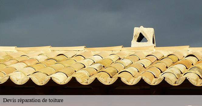 Devis réparation de toiture saucourt-sur-rognon-52270 pro renov'toiture - Couvreur Zingueur 52