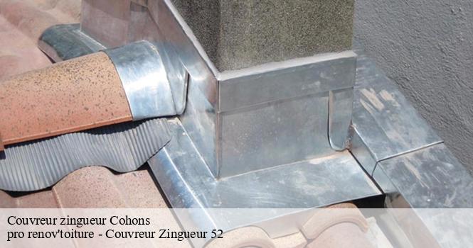 Couvreur zingueur cohons-52600 pro renov'toiture - Couvreur Zingueur 52