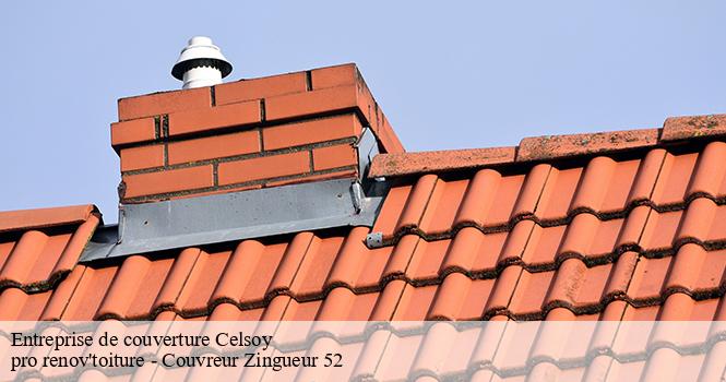 Entreprise de couverture celsoy-52600 pro renov'toiture - Couvreur Zingueur 52