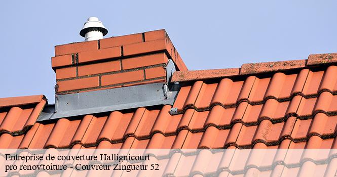 Entreprise de couverture hallignicourt-52100 pro renov'toiture - Couvreur Zingueur 52