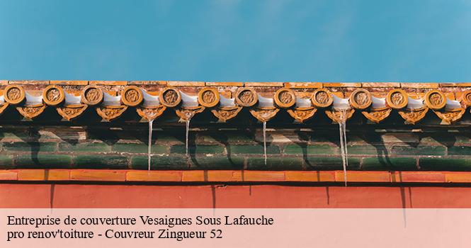 Entreprise de couverture vesaignes-sous-lafauche-52700 pro renov'toiture - Couvreur Zingueur 52