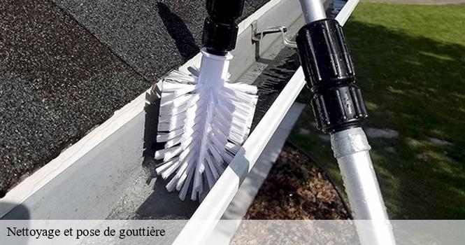Nettoyage et pose de gouttière brainville-sur-meuse-52150 pro renov'toiture - Couvreur Zingueur 52