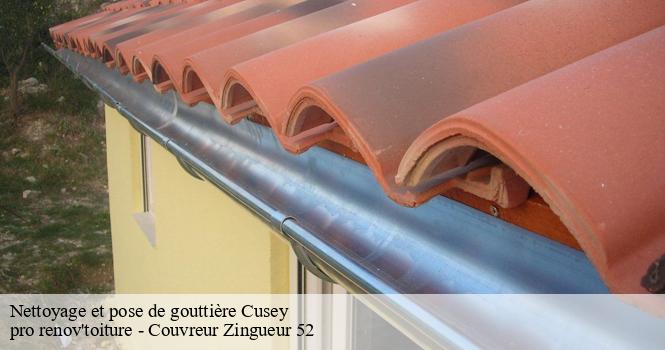 Nettoyage et pose de gouttière cusey-52190 pro renov'toiture - Couvreur Zingueur 52