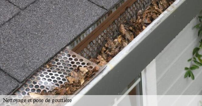 Nettoyage et pose de gouttière fayl-la-foret-52500 pro renov'toiture - Couvreur Zingueur 52