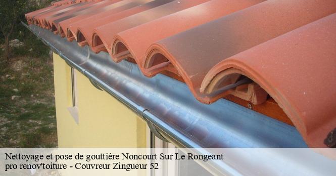 Nettoyage et pose de gouttière noncourt-sur-le-rongeant-52230 pro renov'toiture - Couvreur Zingueur 52