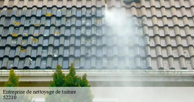 Entreprise de nettoyage de toiture aubepierre-sur-aube-52210 pro renov'toiture - Couvreur Zingueur 52
