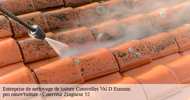 Entreprise de nettoyage de toiture courcelles-val-d-esnoms-52190 pro renov'toiture - Couvreur Zingueur 52