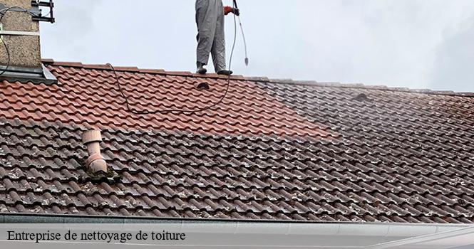 Entreprise de nettoyage de toiture dammartin-sur-meuse-52140 pro renov'toiture - Couvreur Zingueur 52