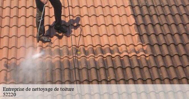 Entreprise de nettoyage de toiture robert-magny-laneuville-a-52220 pro renov'toiture - Couvreur Zingueur 52