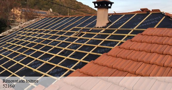 Rénovation toiture colmier-le-bas-52160 pro renov'toiture - Couvreur Zingueur 52