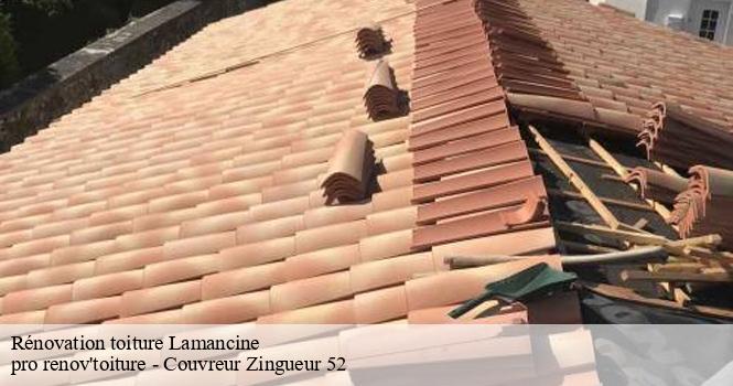 Rénovation toiture  lamancine-52310 pro renov'toiture - Couvreur Zingueur 52
