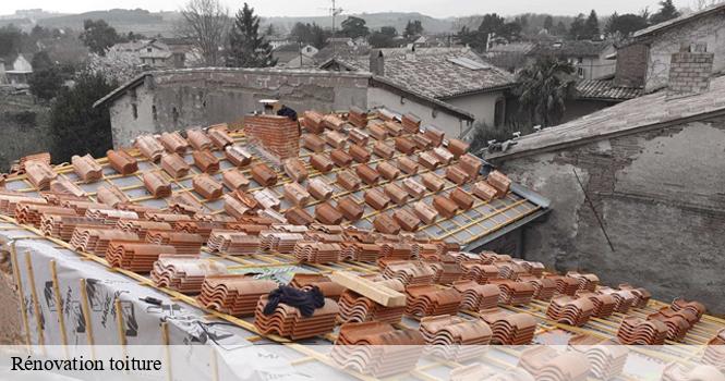 Rénovation toiture  lamancine-52310 pro renov'toiture - Couvreur Zingueur 52