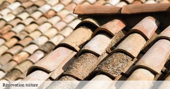 Rénovation toiture neuvelle-les-voisey-52400 pro renov'toiture - Couvreur Zingueur 52