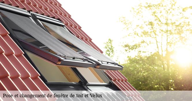 Pose et changement de fenêtre de toit et Velux poissons-52230 pro renov'toiture - Couvreur Zingueur 52