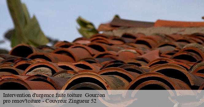 Intervention d'urgence fuite toiture gourzon-52170 pro renov'toiture - Couvreur Zingueur 52