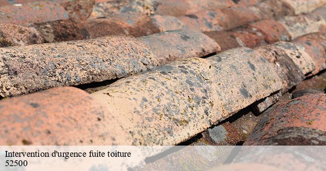 Intervention d'urgence fuite toiture laferte-sur-amance-52500 pro renov'toiture - Couvreur Zingueur 52