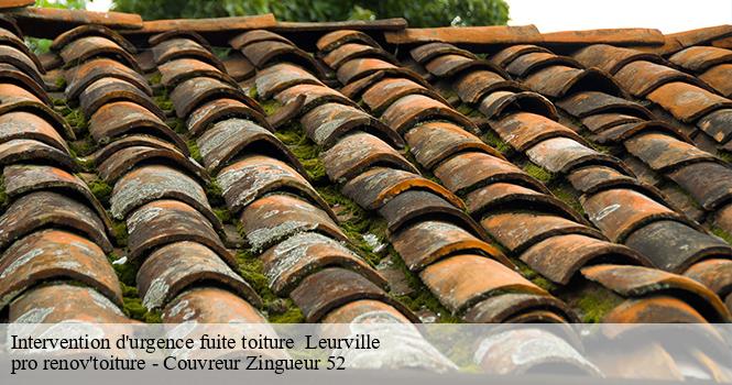 Intervention d'urgence fuite toiture leurville-52700 pro renov'toiture - Couvreur Zingueur 52