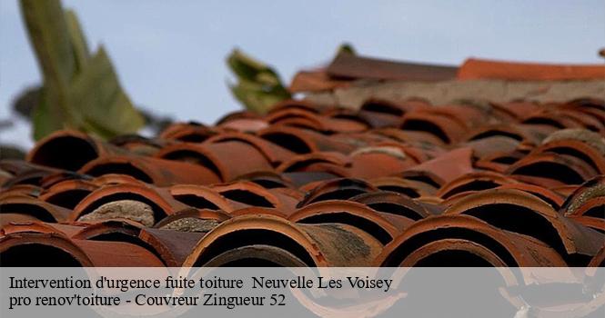 Intervention d'urgence fuite toiture neuvelle-les-voisey-52400 pro renov'toiture - Couvreur Zingueur 52
