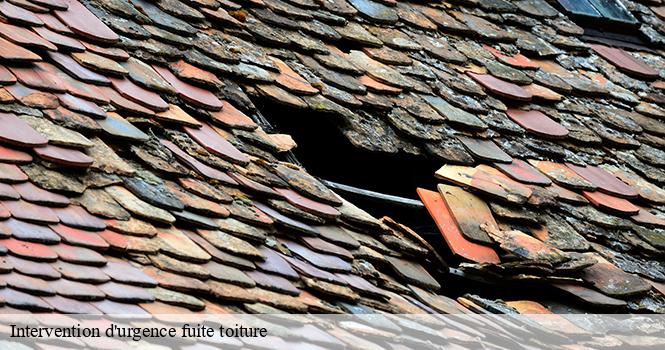 Intervention d'urgence fuite toiture rolampont-52260 pro renov'toiture - Couvreur Zingueur 52