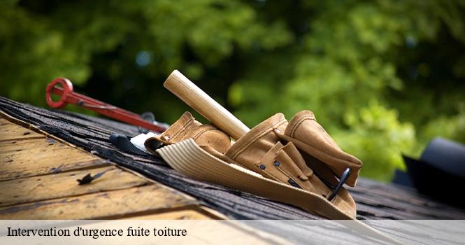 Intervention d'urgence fuite toiture rupt-52300 pro renov'toiture - Couvreur Zingueur 52