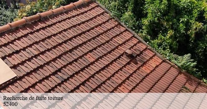 Recherche de fuite toiture damremont-52400 pro renov'toiture - Couvreur Zingueur 52