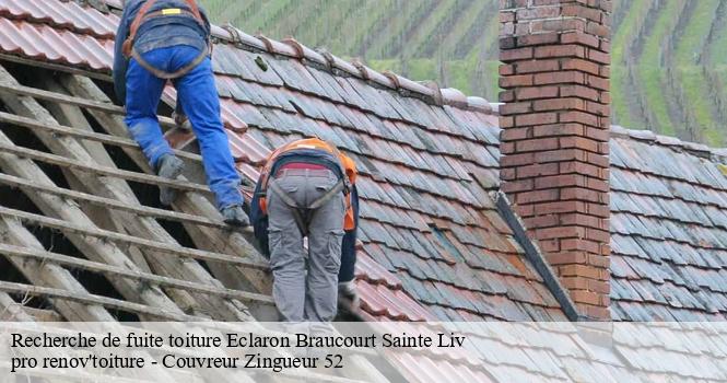 Recherche de fuite toiture eclaron-braucourt-sainte-liv-52290 pro renov'toiture - Couvreur Zingueur 52