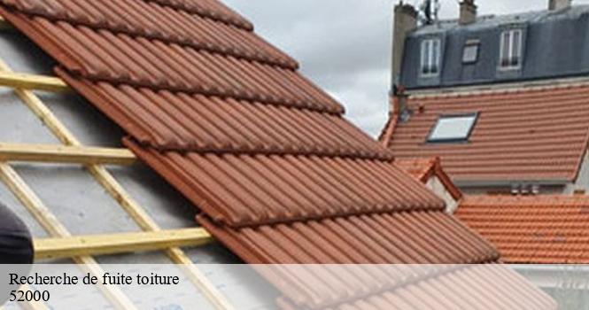 Recherche de fuite toiture neuilly-sur-suize-52000 pro renov'toiture - Couvreur Zingueur 52