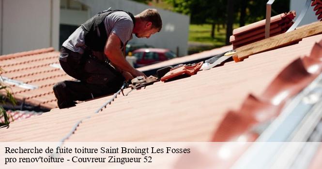 Recherche de fuite toiture saint-broingt-les-fosses-52190 pro renov'toiture - Couvreur Zingueur 52