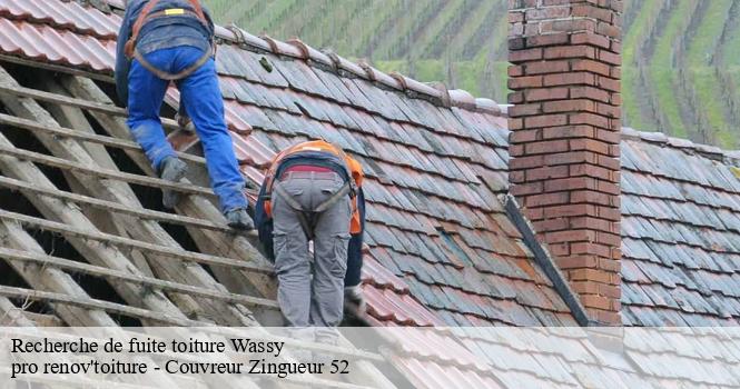 Recherche de fuite toiture wassy-52130 pro renov'toiture - Couvreur Zingueur 52